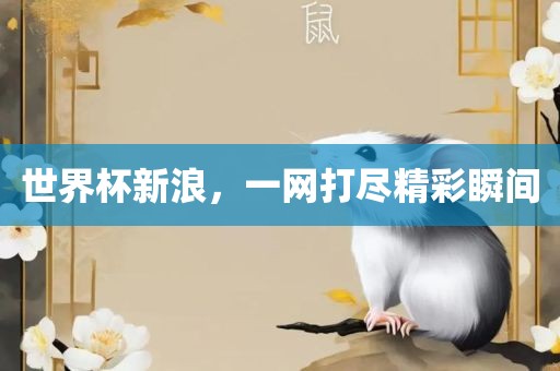 世界杯新浪，一眉山市正发家政服务有限公司网打尽精彩瞬间