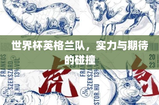 世界杯英格兰队，实力与期待的碰撞
