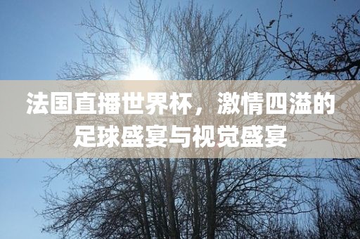法国直播世界杯，激情四溢眉山市正发家政服务有限公司的足球盛宴与视觉盛宴