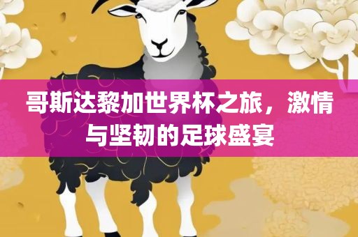 哥斯达黎加世界杯之旅，激情与坚韧的足球盛宴眉山市正发家政服务有限公司