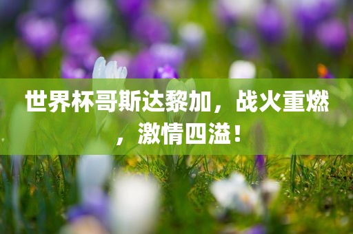 susihan 第15页
