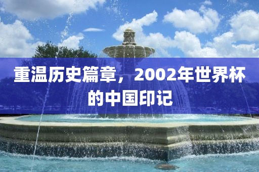 重温历史篇章，2002年世界杯的中国印记眉山市正发家政服务有限公司