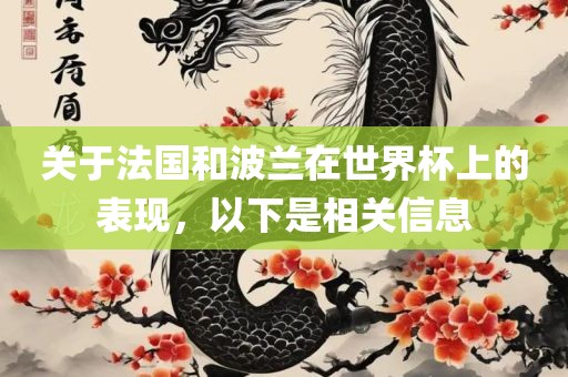 关于法国和波兰在世界杯上的表现，以下是相关信息