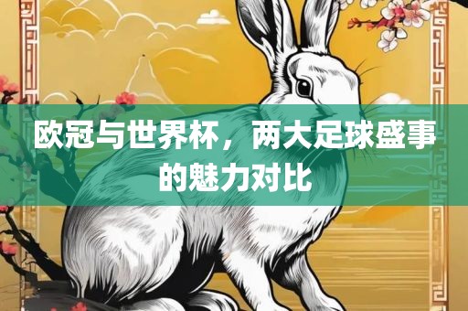 欧冠与世界杯，两大足球盛事的魅力对比眉山市正发家政服务有限公司