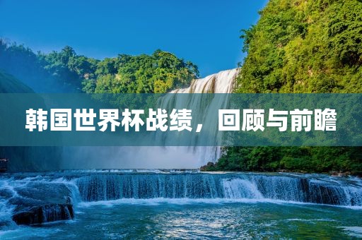 韩国世界杯战绩，回顾与前瞻眉山市正发家政服务有限公司