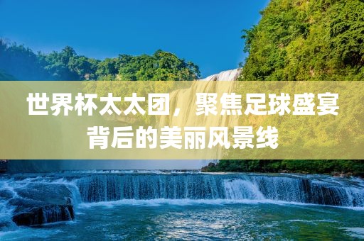世界杯太太团，聚焦足球盛宴背后的美丽风景线眉山市正发家政服务有限公司