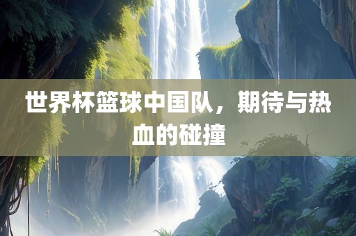 世界杯篮球中国队，期待与热血的碰撞眉山市正发家政服务有限公司