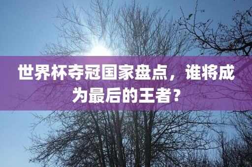 世界杯夺冠国家盘点，谁将成为最后的王者？眉山市正发家政服务有限公司