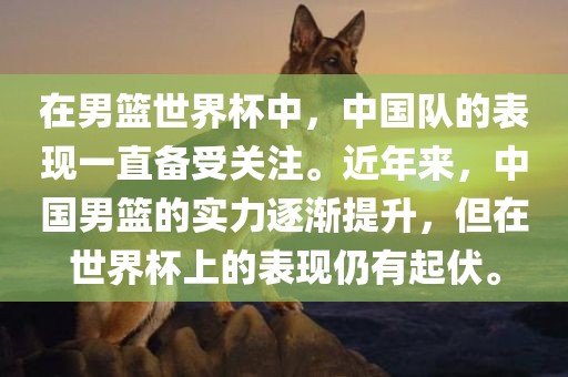 中国男篮表现