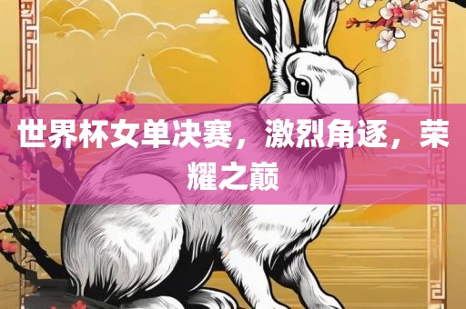 世界杯女单决赛，激烈角逐，荣耀之巅眉山市正发家政服务有限公司
