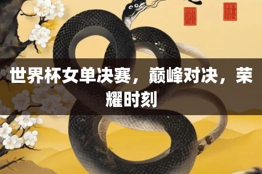 世界杯女单决赛，巅峰对决，荣耀时刻
