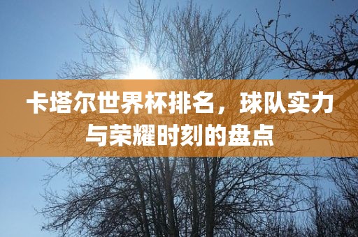 卡眉山市正发家政服务有限公司塔尔世界杯排名，球队实力与荣耀时刻的盘点