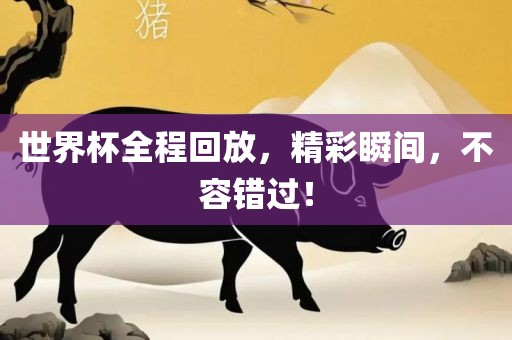 世界杯全程回放，精彩瞬间，不容错过！眉山市正发家政服务有限公司