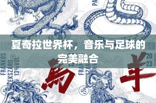 夏奇拉世界杯，音乐与足球的完美融合眉山市正发家政服务有限公司