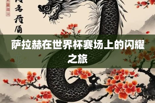 萨拉赫在世界杯赛场上的闪耀之旅眉山市正发家政服务有限公司
