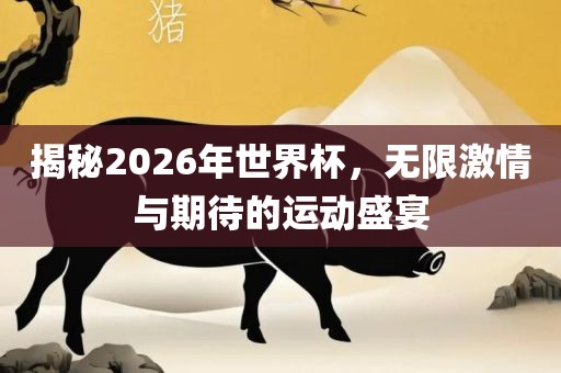揭秘2026年世界杯，无限激情与期待的运动盛宴眉山市正发家政服务有限公司