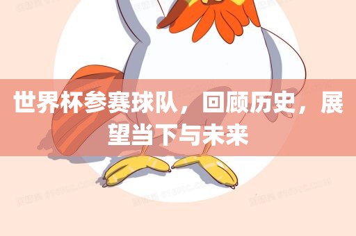 世界杯参赛球队，回顾历史，展望当下与未来
