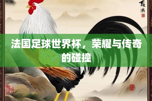法国足球世界杯，荣耀与传奇的碰撞眉山市正发家政服务有限公司