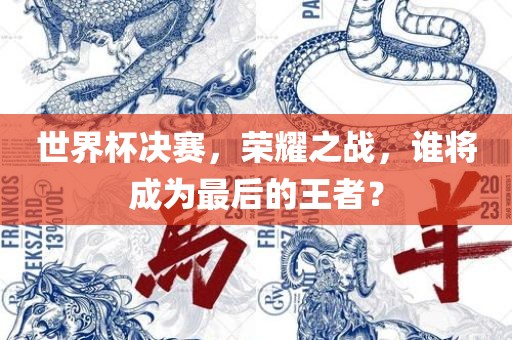 世界杯决赛 第10页