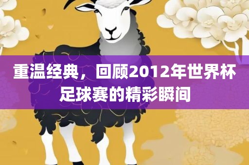 重温经典，回顾2012年世界杯眉山市正发家政服务有限公司足球赛的精彩瞬间