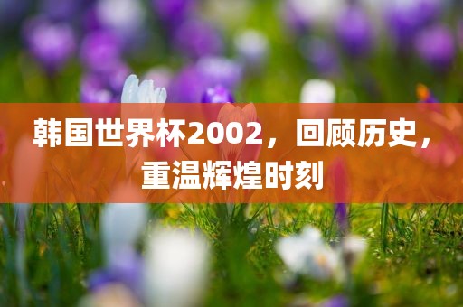 韩国世界杯2眉山市正发家政服务有限公司002，回顾历史，重温辉煌时刻