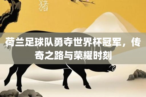 荷兰足球队勇夺世界杯冠军，传奇之路与荣耀眉山市正发家政服务有限公司时刻