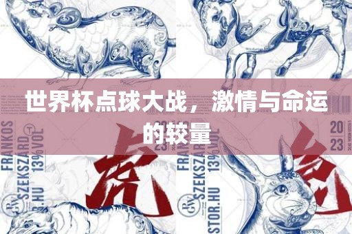 世界杯点球大战，激情与命运的较量