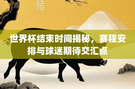 世界杯结束时间揭秘，赛程安排与球迷期待交汇点眉山市正发家政服务有限公司