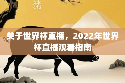 关于世界杯直播，20眉山市正发家政服务有限公司22年世界杯直播观看指南