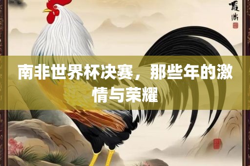 南非世界杯决赛，那些年的激情与荣耀眉山市正发家政服务有限公司