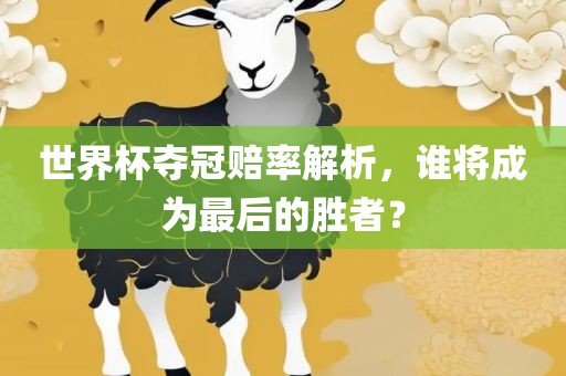 世界杯夺冠赔率解析，谁将成为最后的胜者？
