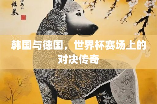 韩国与德国，世界杯赛场上的对决传奇