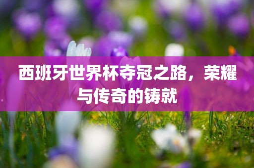西班牙世界杯夺冠之路，荣耀与传奇的铸就