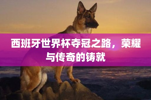 西班牙世界杯夺冠之路，荣耀与传奇的铸就