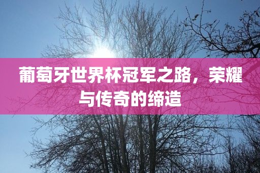 葡萄牙世界杯冠军之路，荣耀与传奇的缔造