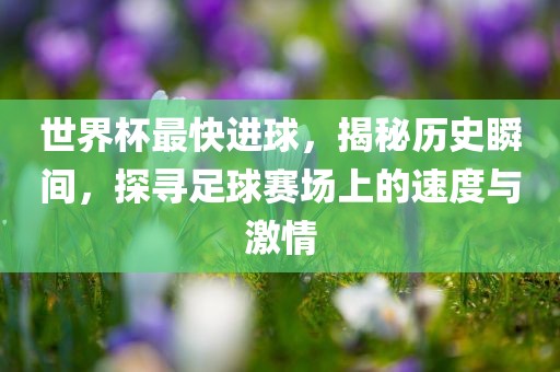 世界杯最快进球，揭秘历史瞬间，探寻足球赛场上的速度与激情