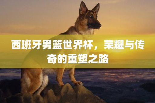yanghuiwen 第11页
