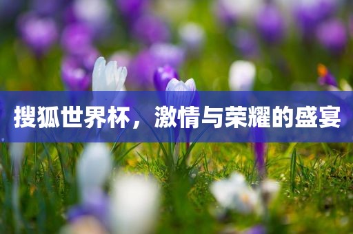 搜狐世界杯，激情与荣耀的盛宴眉山市正发家政服务有限公司