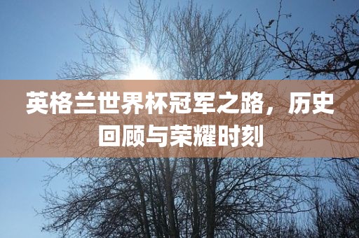 英格兰世界杯冠军之路，历史回顾与荣耀时刻