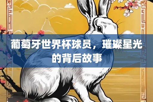 葡萄牙世界杯球员，璀璨星光的背后故事眉山市正发家政服务有限公司
