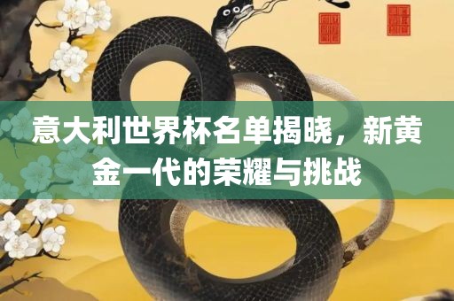 意大利世界杯名单揭晓，新黄金一代的荣耀与挑战眉山市正发家政服务有限公司