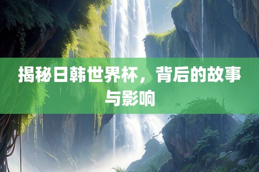 揭秘日韩世界杯，背后的故事与影响眉山市正发家政服务有限公司