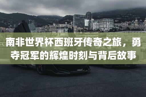 世界杯南非