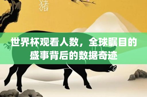 世界杯观看人数，全球瞩目的盛事背后的数据奇迹