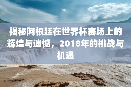 揭秘阿根廷在世界杯赛场上的辉煌与遗憾，2018年的挑战与机遇眉山市正发家政服务有限公司