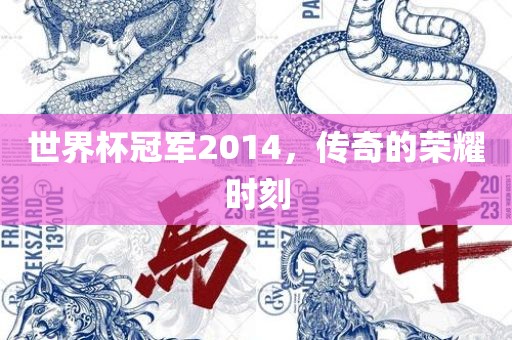 世界杯冠军2014，传奇的荣耀时刻