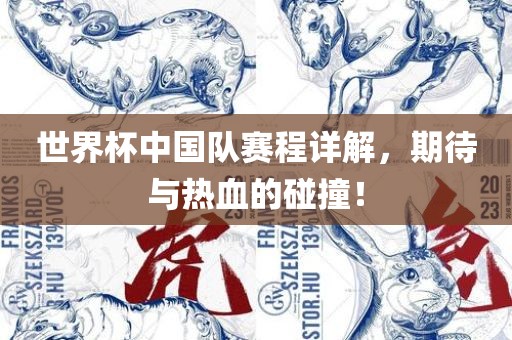 世界杯中国队赛程详解，期待与热血的碰撞！