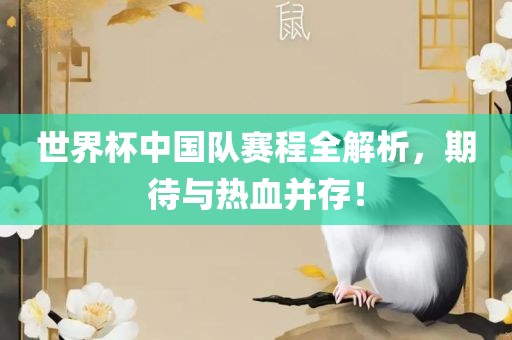 世界杯中国队赛程全解析，期待与热血并存！