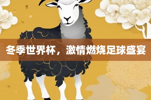 冬季世界杯，激情燃烧足球盛宴眉山市正发家政服务有限公司