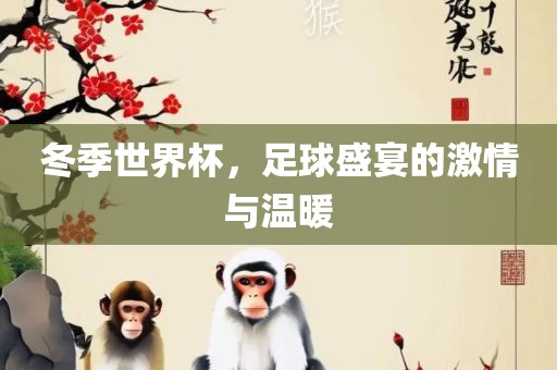 冬季世界杯，足球盛宴的激情与温暖眉山市正发家政服务有限公司